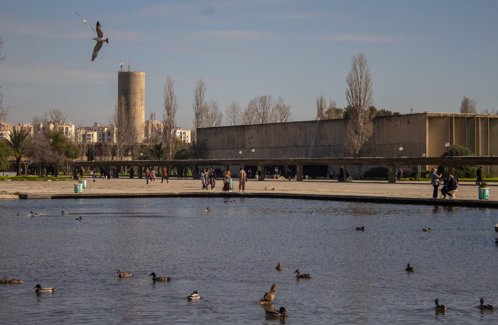 University of Science and Technology Houari Boumedienne