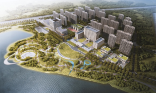 مؤسسة وي دونغ