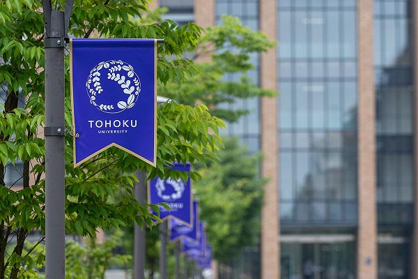 19558401.jpg a82948c4-597d-4006-95e2-bad28b69a348.jpg