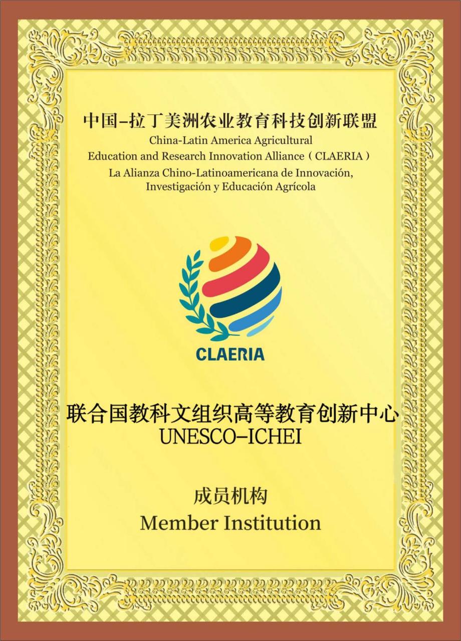 33437842.jpeg 1280X1280.JPEG