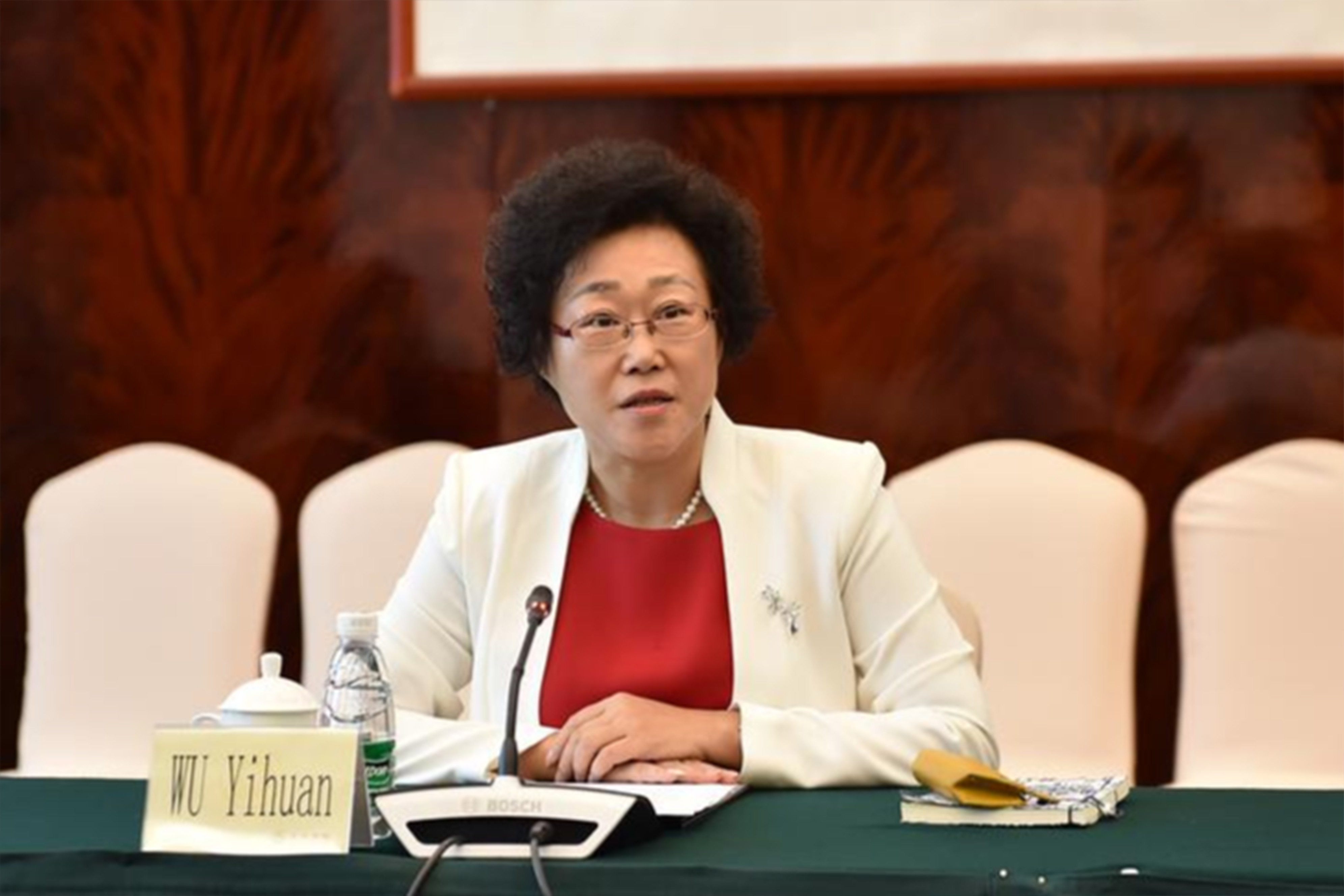 41741141.jpg 吴以环.jpg